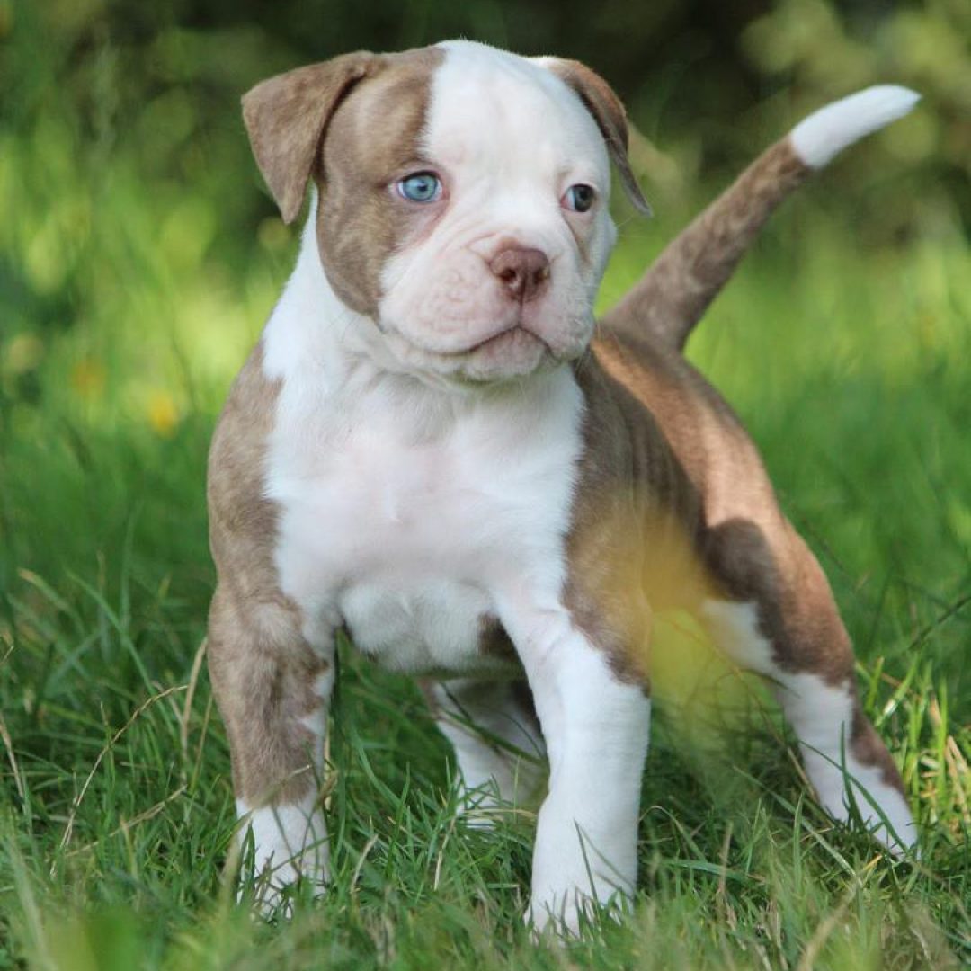 WhatsApp Image 2026-01-15 at 17.40.22