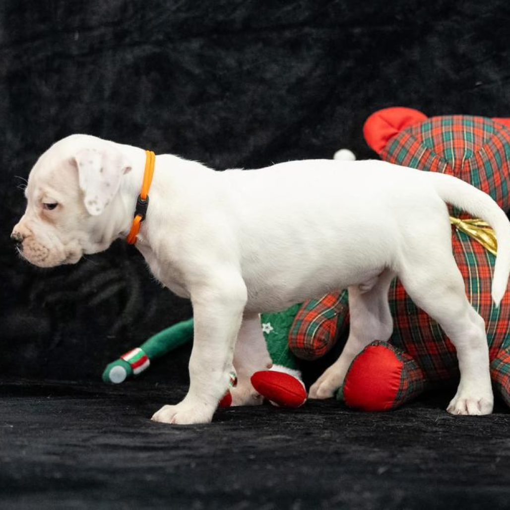 WhatsApp Image 2026-01-15 at 17.42.59