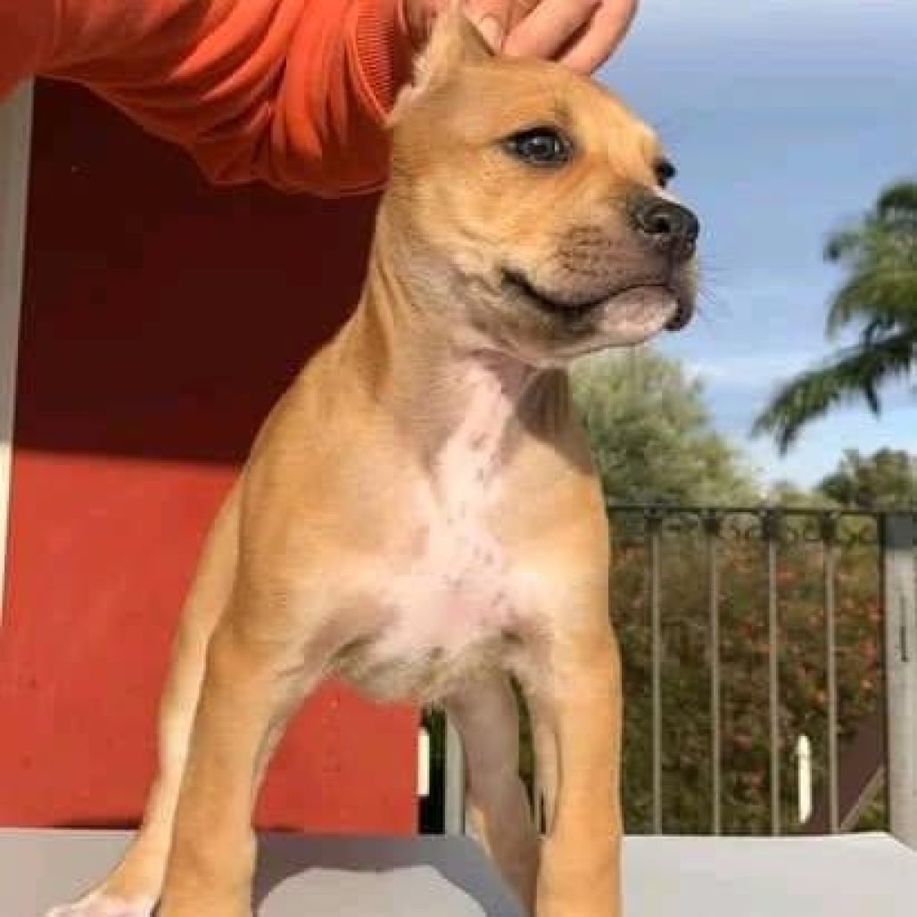 WhatsApp Image 2026-01-23 at 02.36.01