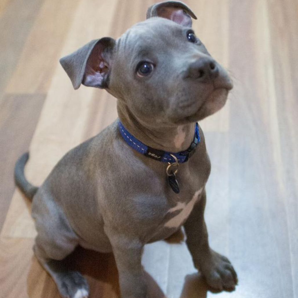 WhatsApp Image 2026-01-23 at 02.36.40