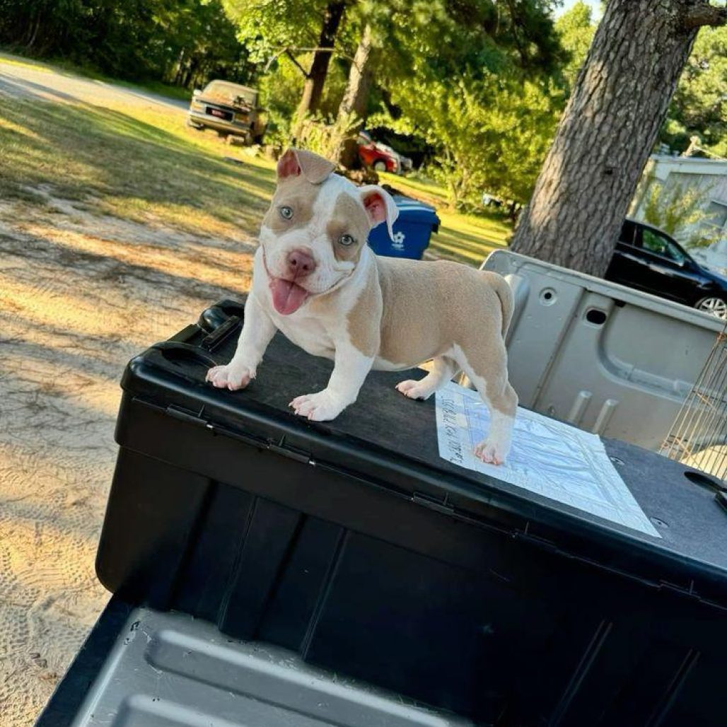 WhatsApp Image 2026-01-23 at 02.37.05